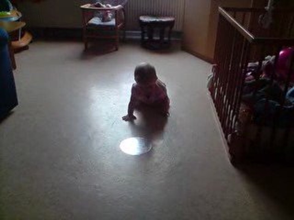 zoe premier quatre pattes