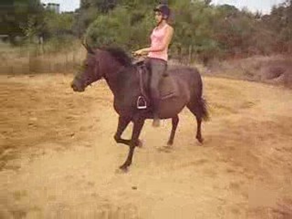 gessie barre 3