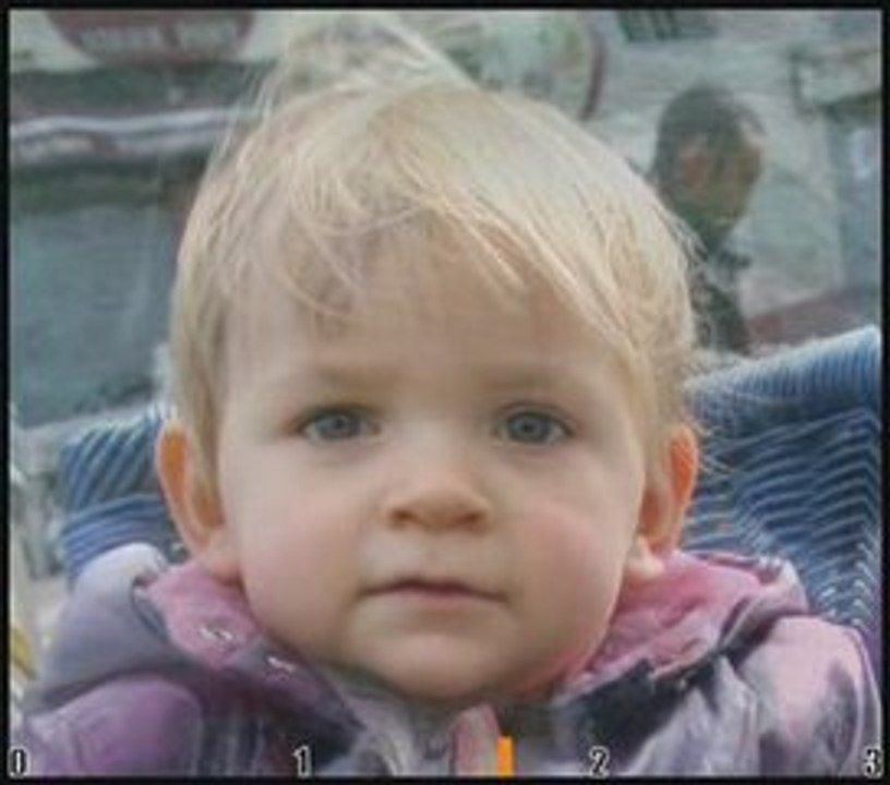 Morphing Evolution 3 years 1 picture by week