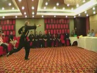 Human Mobile Stage 46N, USA & Australia Jow Ga Kung Fu 2009,