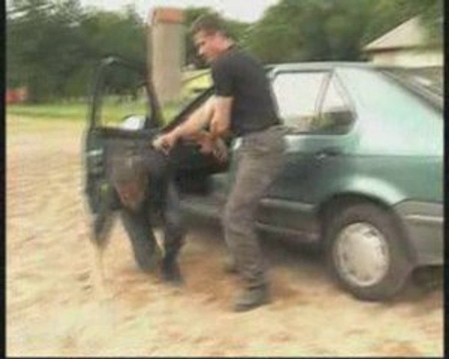 Cascade Stunt - Jérôme Henry - Coordinateur régleur cascades - Techniques de Police