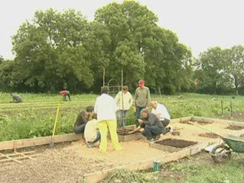 Légumes en fête. Calaistv