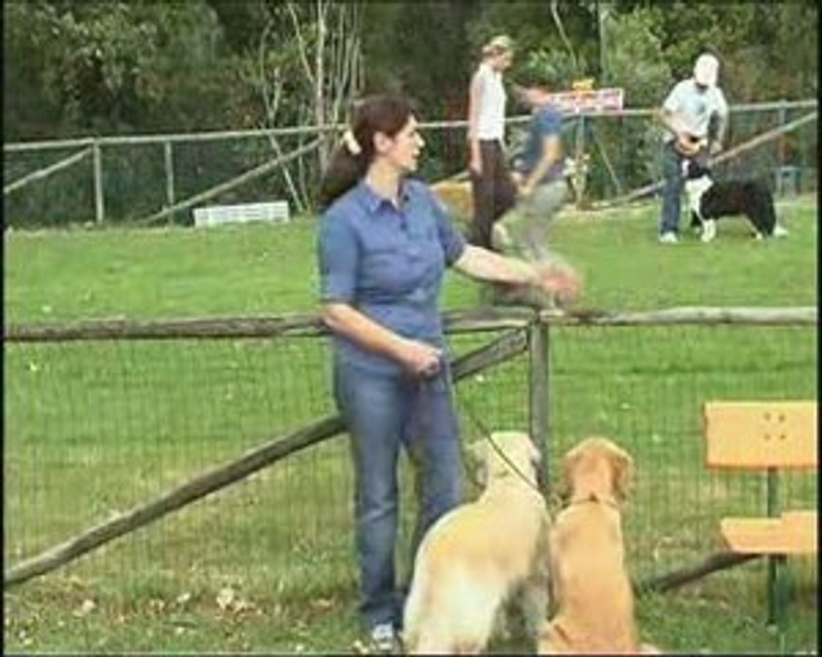 Agritursimo e addestramento dog nell'Oltrepo Pavese