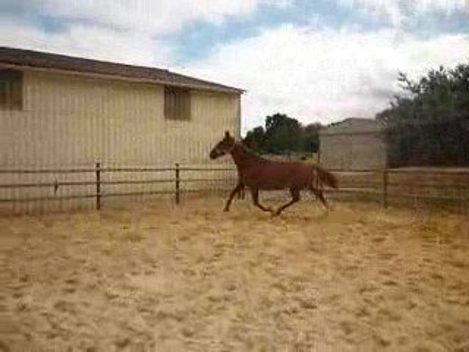 quiqui en mode quéqué 2