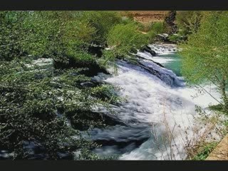 Alfayhaa Nahr Al Assi - lebanese dabke
