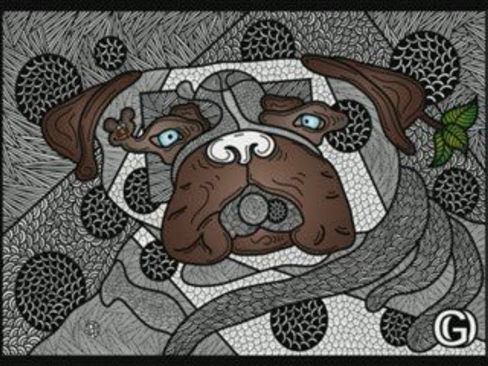 Chien de GO