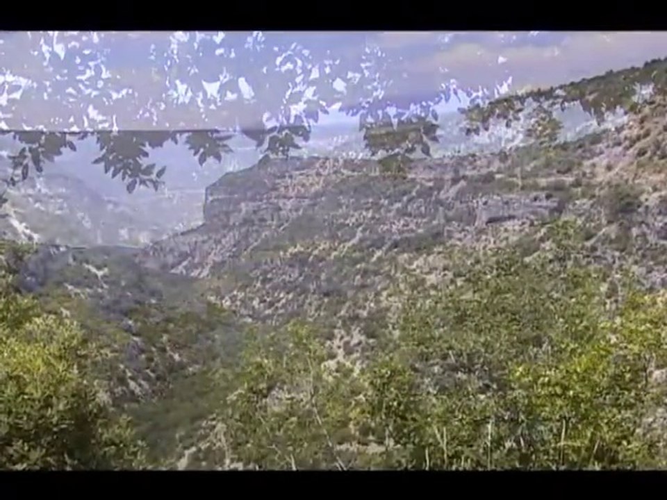 Les gorges de la Nesque