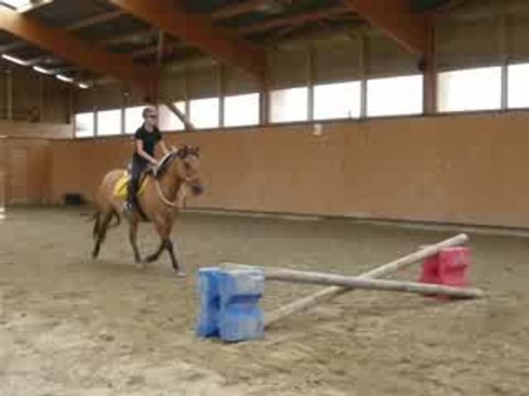 saut dun croisillion en licol