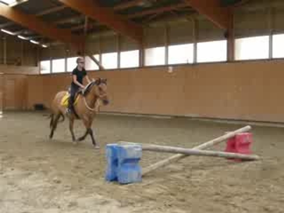saut dun croisillion en licol