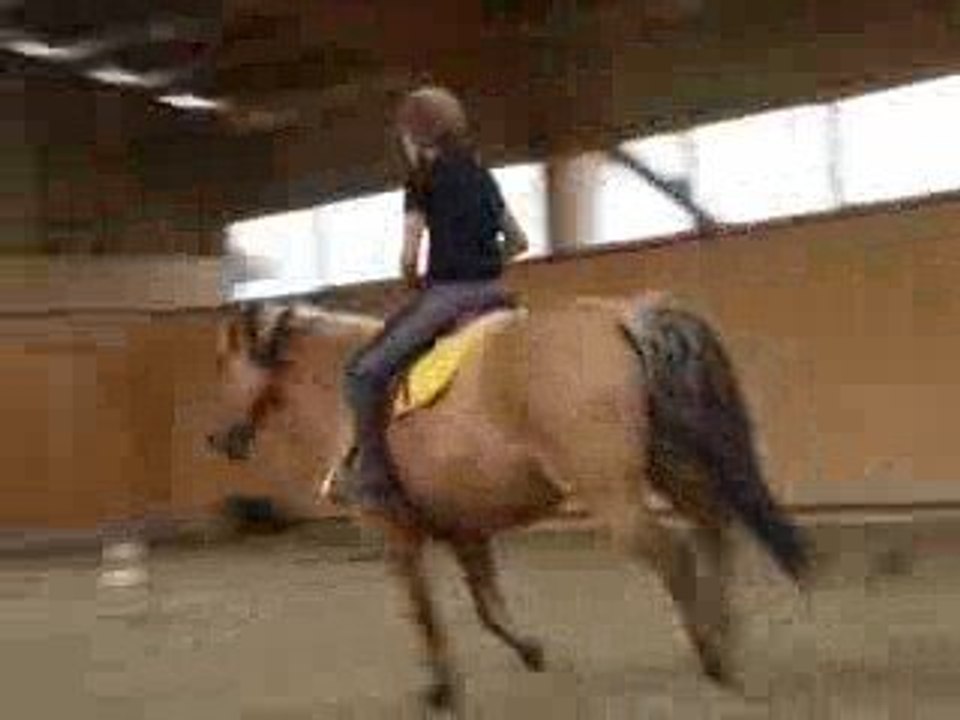 saut dun croisillion en liberté !!!