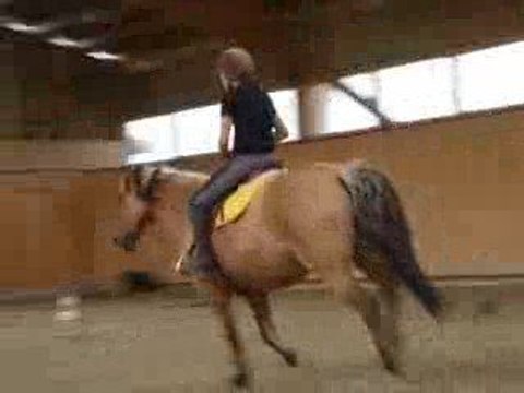 saut dun croisillion en liberté !!!