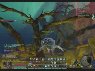 DGM PvP 1 version Kr