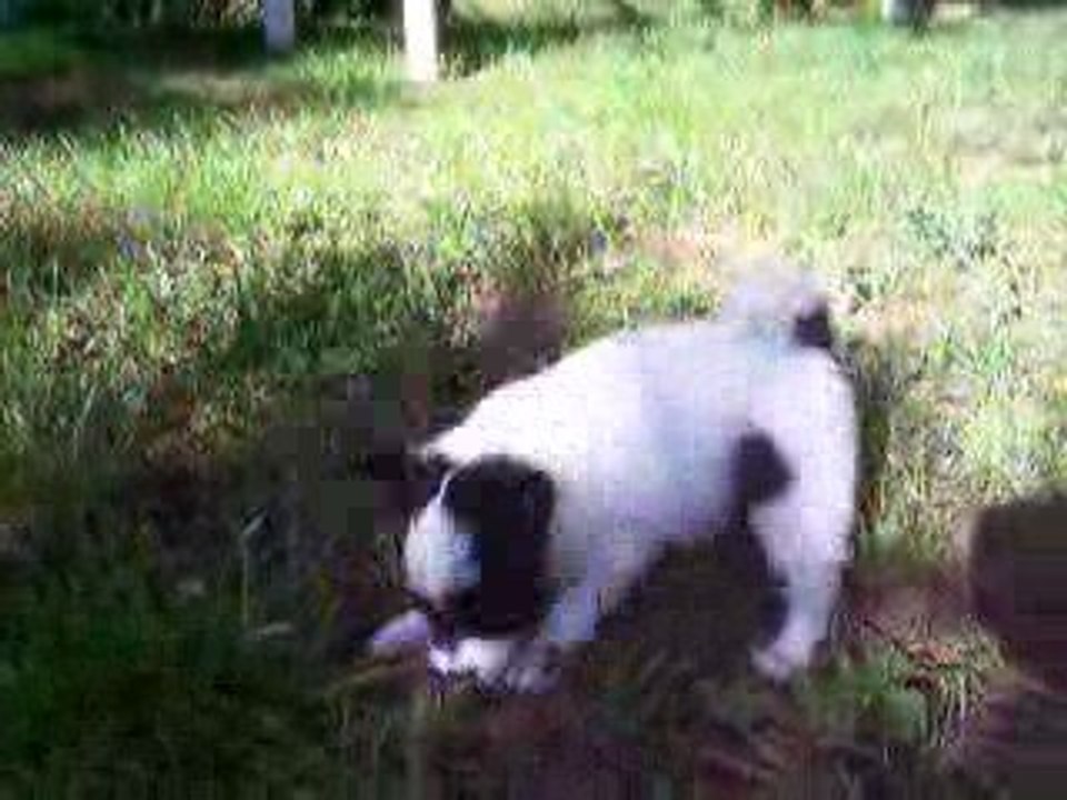 Enaya Des Collines Sacrées.