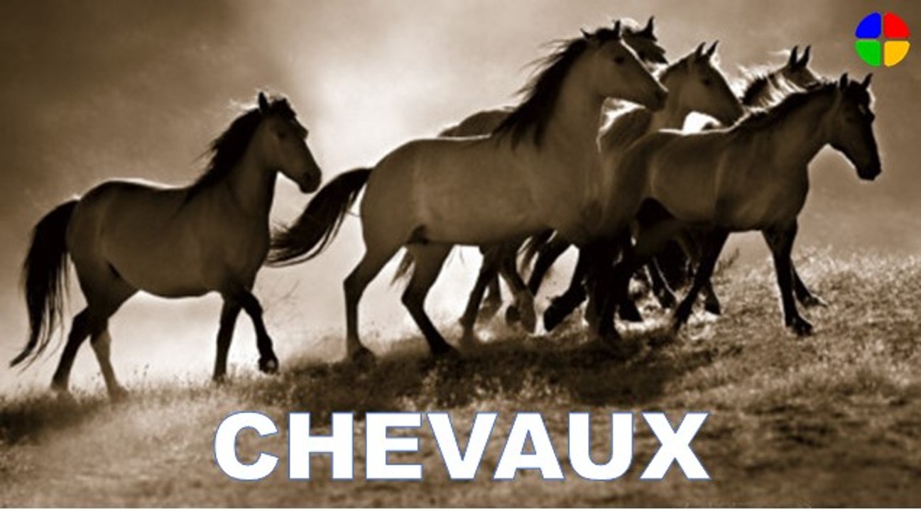 Le Gymer d'Alain Rolland