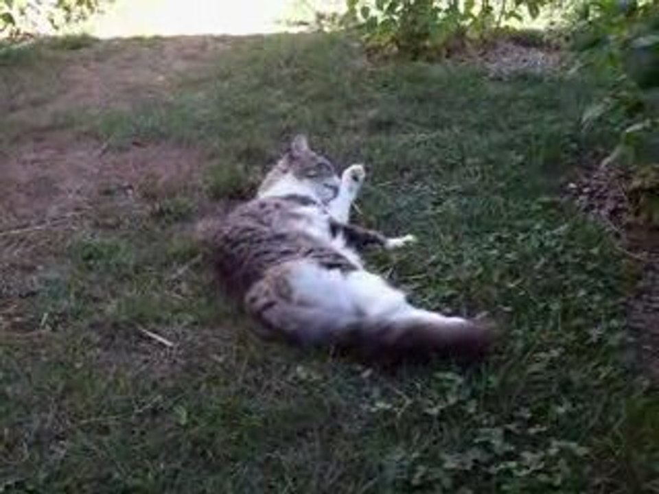 Daiana est triste après la mort accidentele de Bijou.