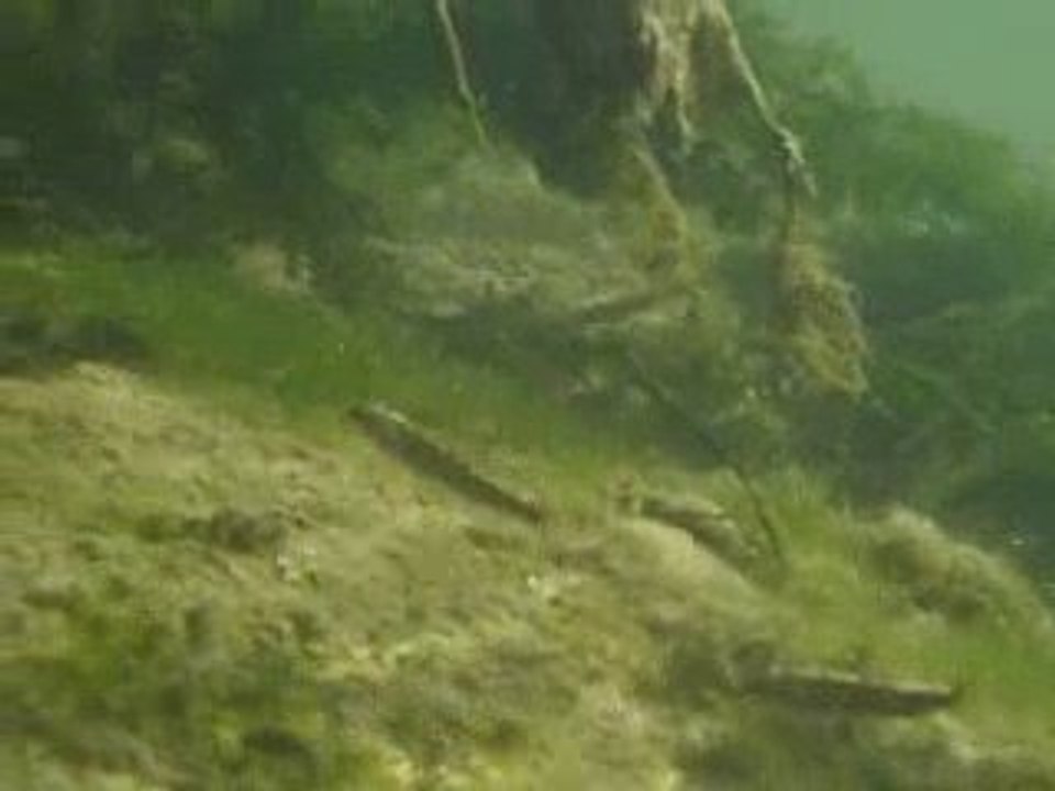 Teaser sessions 2009