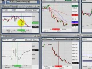 August 11, 09 Intraday Stock market Report