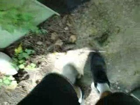 1284 Lockwood Dr Atlanta GA 30310 $59k with $1200 cashflow