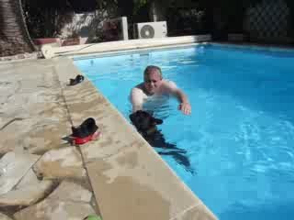 Marley fait de la plongée sous marine