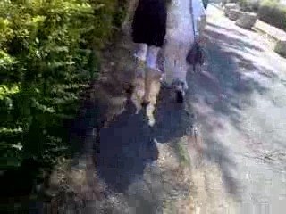 saluuut jfilm pas les culs !!