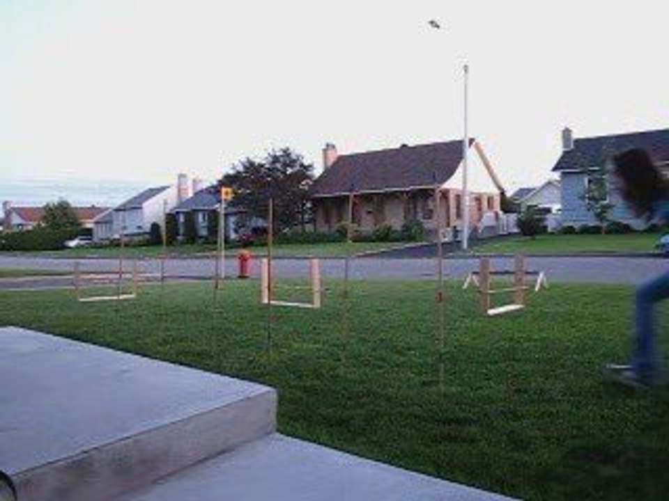 Yougi en Agility
