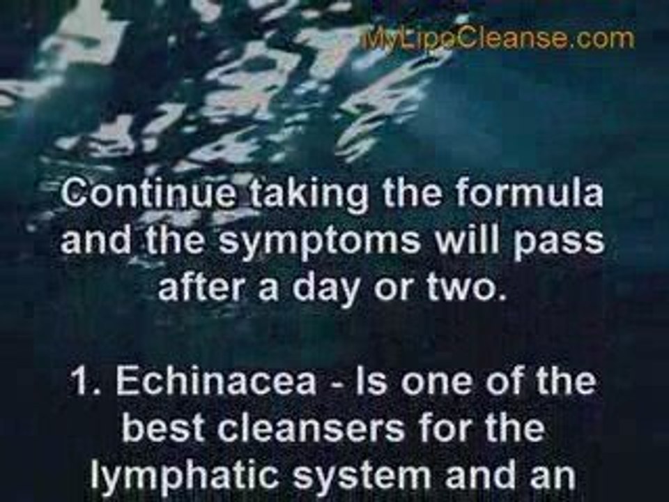 Best Colon Detox Programs Reviewed