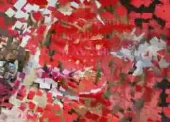 BİR ÜLKÜCÜ KIZ SEVDİM