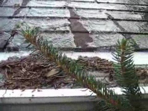 Leaf solution Gutter Protection gutterflow7.com