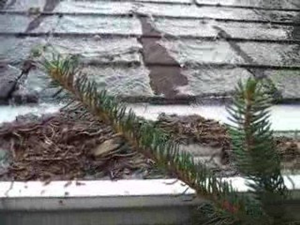 Leaf solution   Gutter Protection   gutterflow7.com