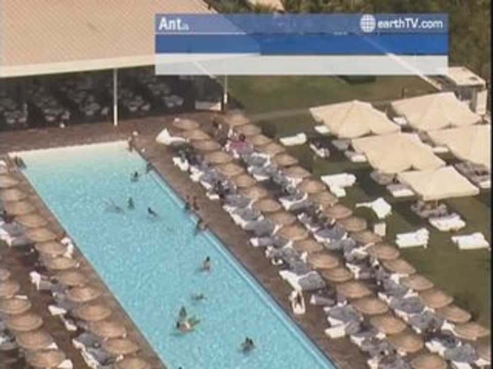 Engelberg - Titlis - Switzerland, Dusseldorf - Germany, Bandar Seri Begawan - Brunei, New York - USA, Ekaterinburg - Russia, Antalya - Turkey, Plettenberg Bay - South Africa