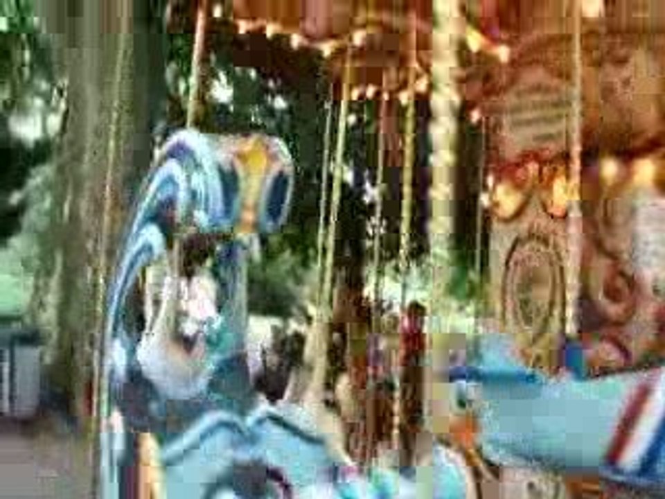 manège au parc de la tête d'or