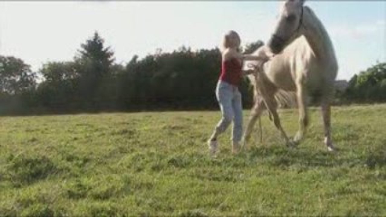 au pré 2