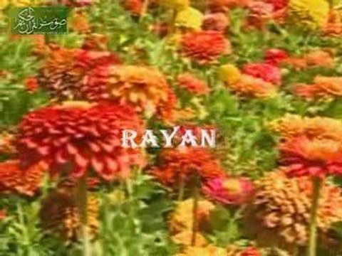 Cevad Faruki - Tekvir Suresi