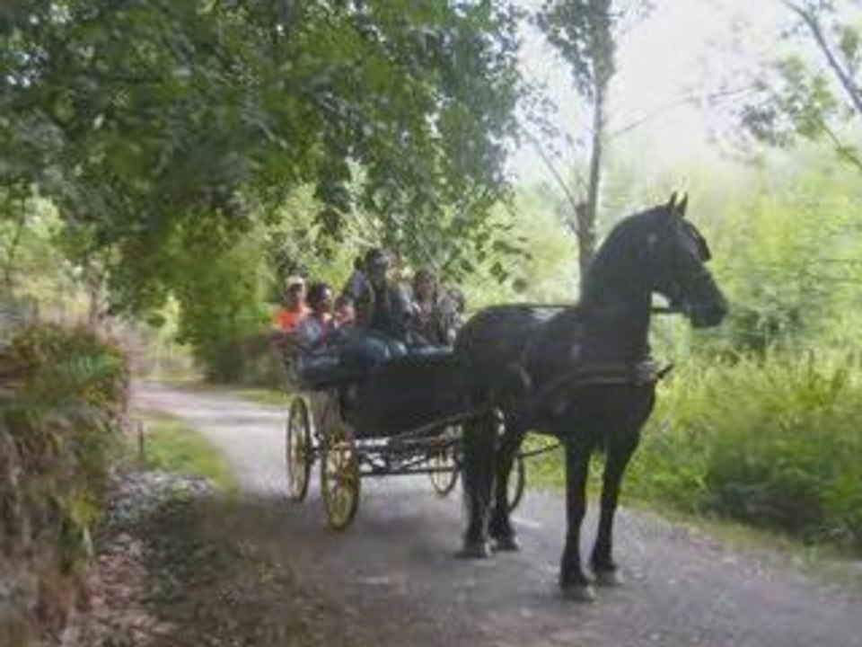 le 11 aout 2009_0001