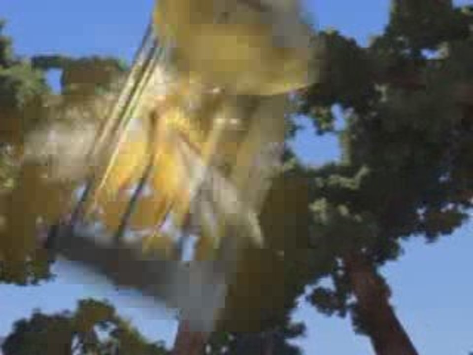 Punjabi Totay 50