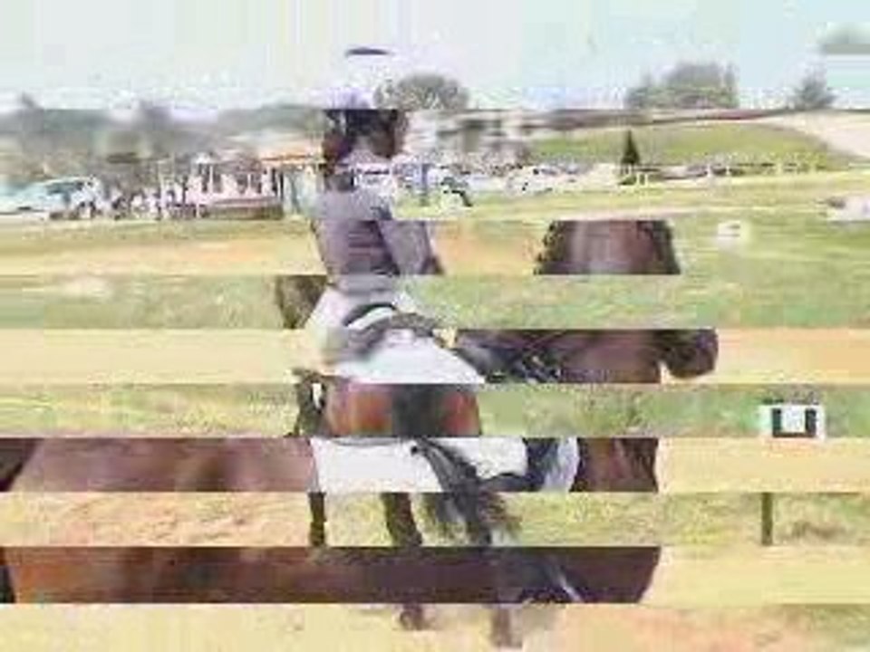 PLAYER (dressage lunel am2GP)