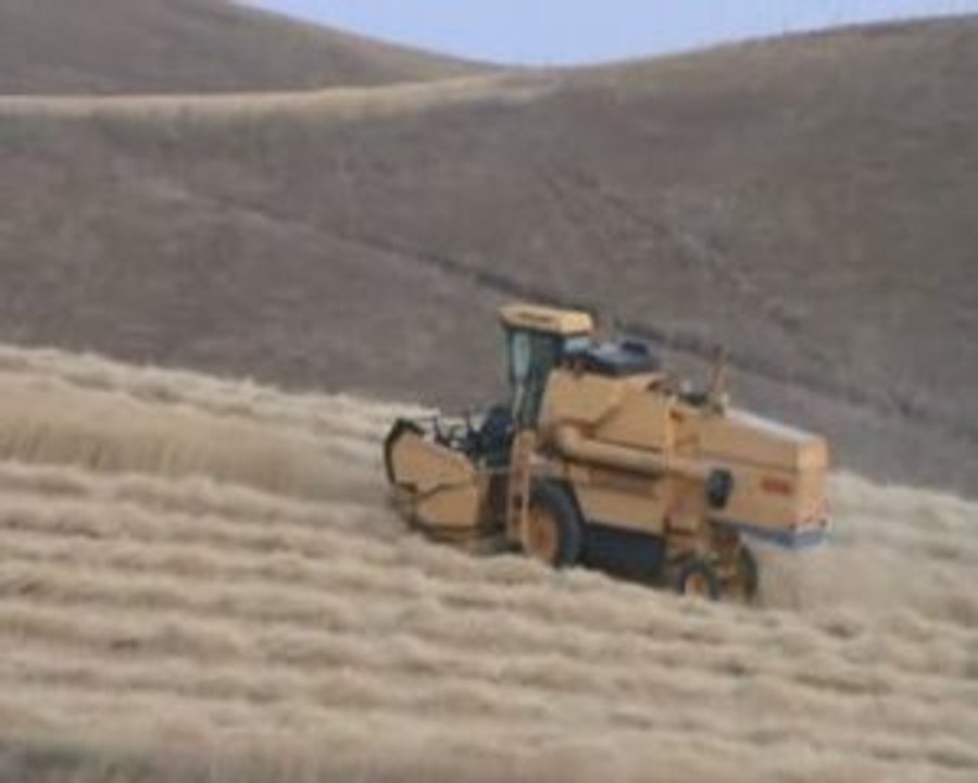 anadoluda biçerdöver hasatı