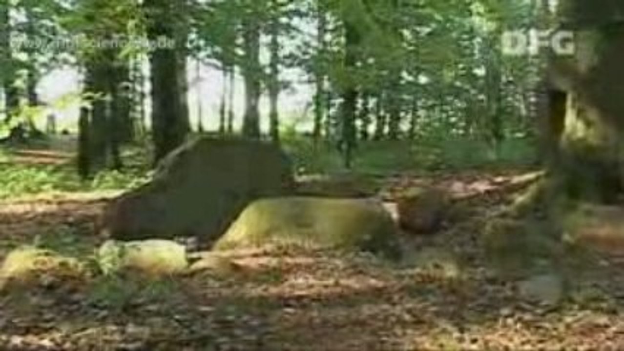 Giganten der Steinzeit - 03 - Blick über den Tellerrand