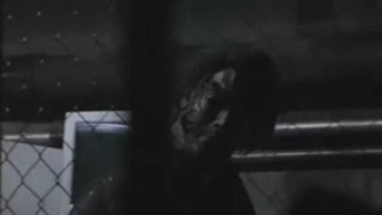 H2 - Halloween 2 Teaser ! Rob Zombie H2 Official Teaser