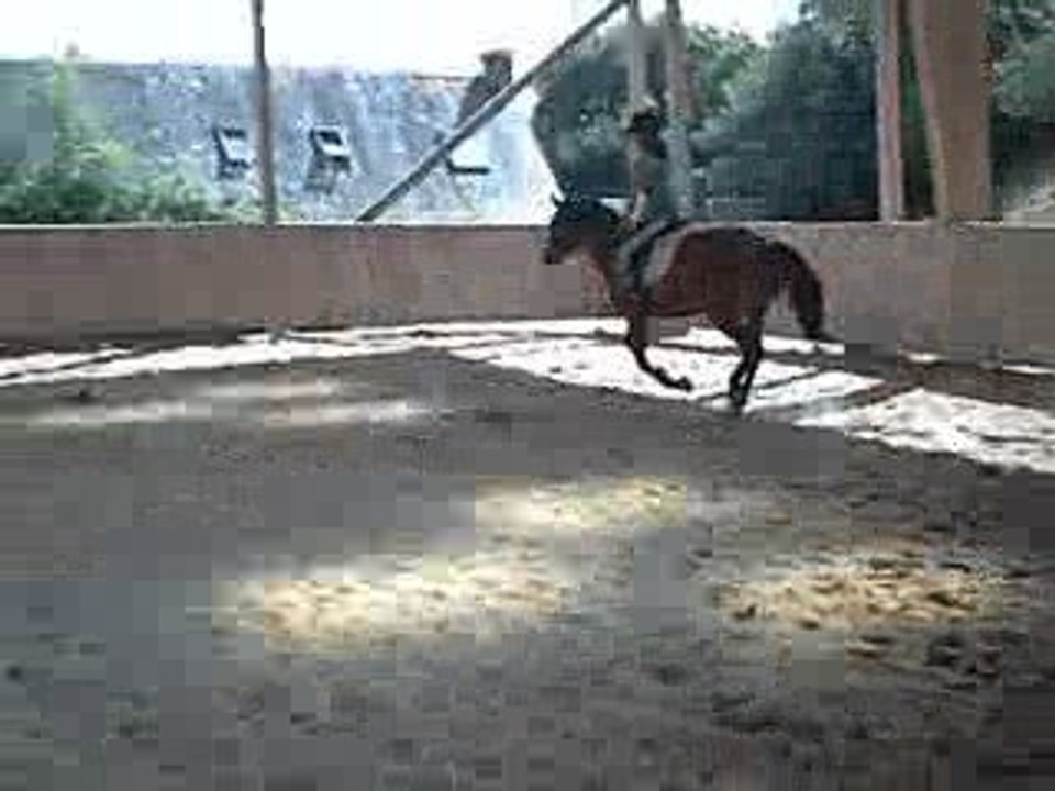 Païta en saut