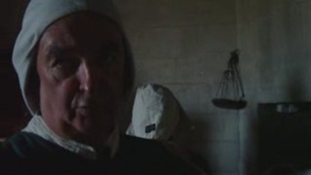 Plantes et remèdes moyen-âgeux aux Médiévales de Tarascon - 2009