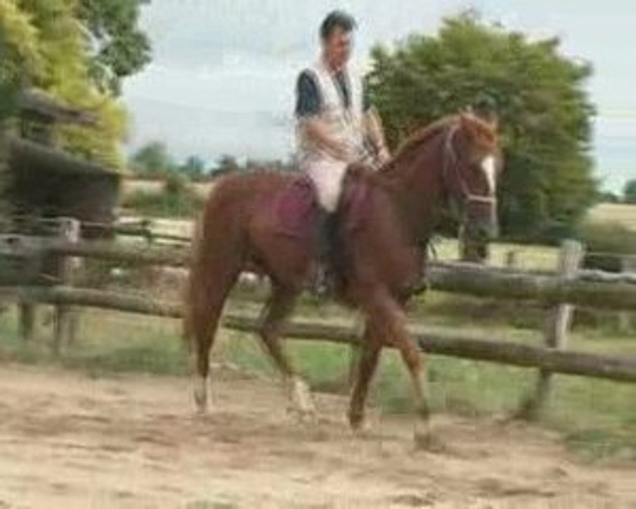 Roi_d'_Aubrac