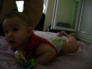 Sur la voix du 4 pattes !!!