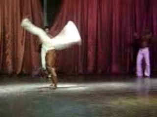 Delphin Botanik Samba Show 2