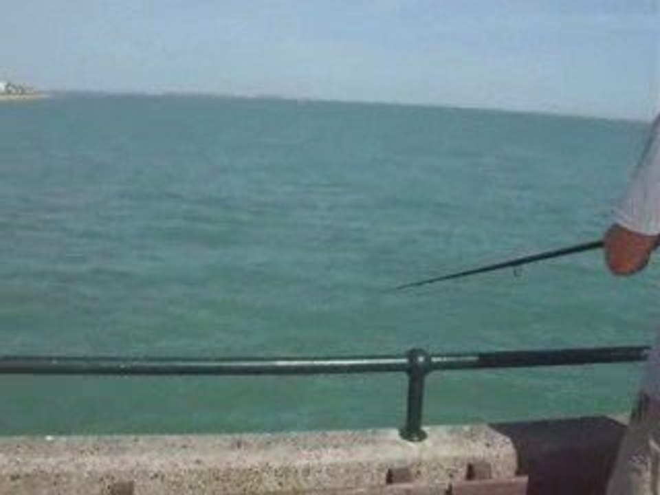 Deal fishing 1