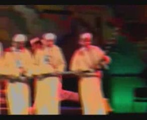 Ain Sibilya - FestivalSaidia 2009