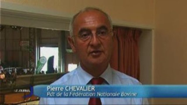 La filière bovine en crise