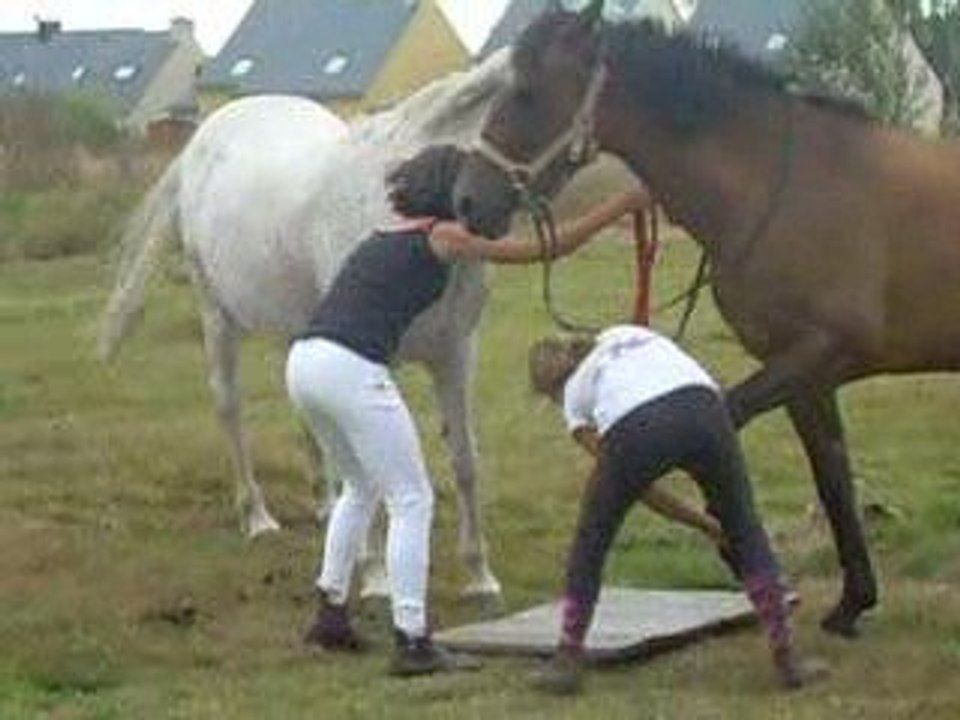 un petit passage de ma louloute et Ja en spectacle à pied