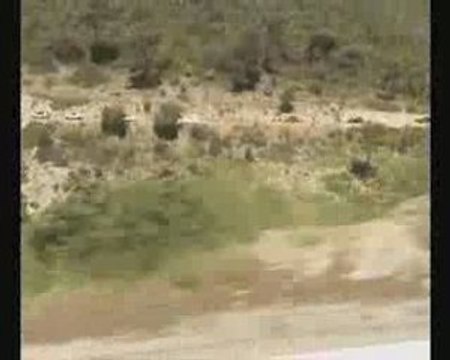 205 RCF Mediterrannée,Juin 2009.Sortie Ste Baume .