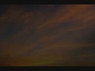 Elle a rêvé de Cheikh Al Albany